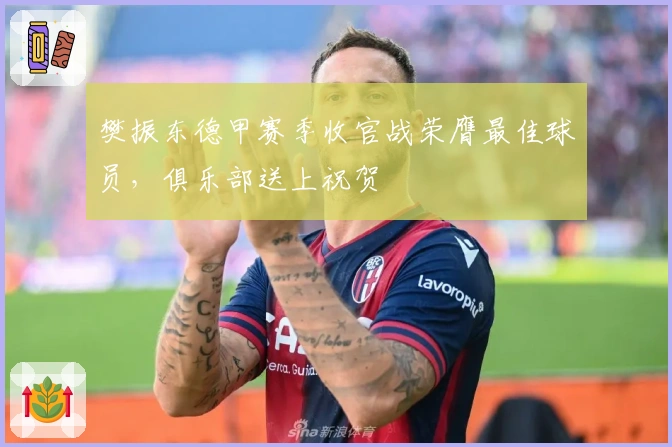 樊振东德甲赛季收官战荣膺最佳球员，俱乐部送上祝贺