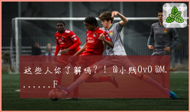 这些人你了解吗？！@小贱OvO @M.......F